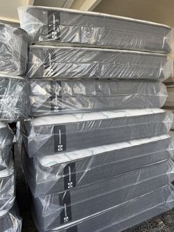 Sealy Queen Mattress