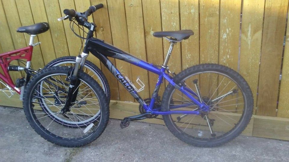 Bikes 100$ Each Ridd Today