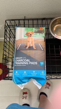 large charcoal training pads