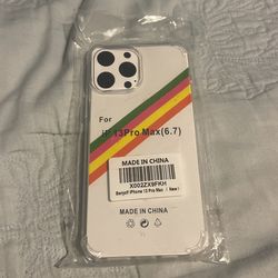 13 Pro Max Case 
