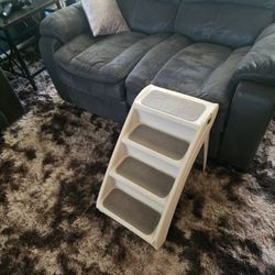 Dog Stairs