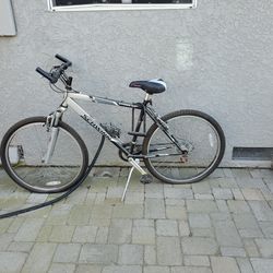Schwinn Bike