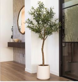 Faux 6.5' Olive Tree