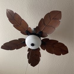 Abanico  Lujoso 5 Alpas 