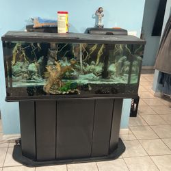 Fish Tank 55 Gallons