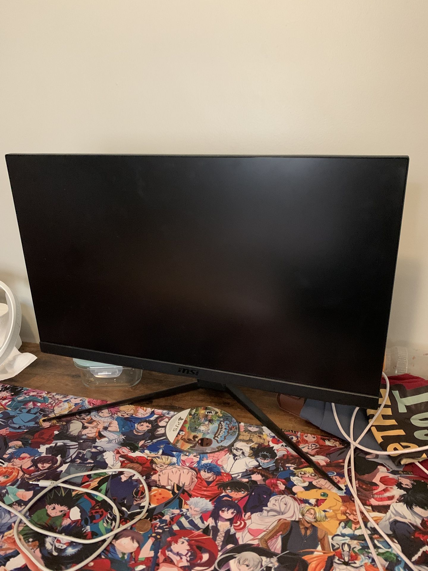 24in Gaming Monitor
