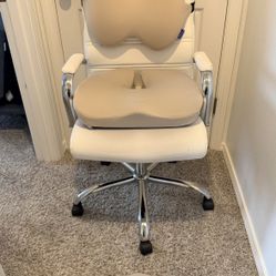 Office Chair Bundle (with FREE CHAIR)
