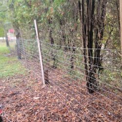Wire Fence