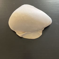 Mastectomy Breast