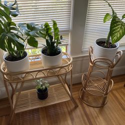 Large Rattan Plant Stand 