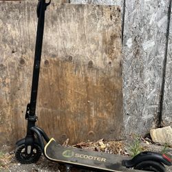 Electric Scooter 