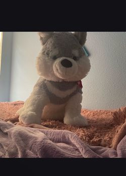 A Big Husky Teddy Bear