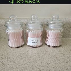 Helping A Neighbor! Homemade Scented Soy Wax Candles In 6-18oz Sizes. 