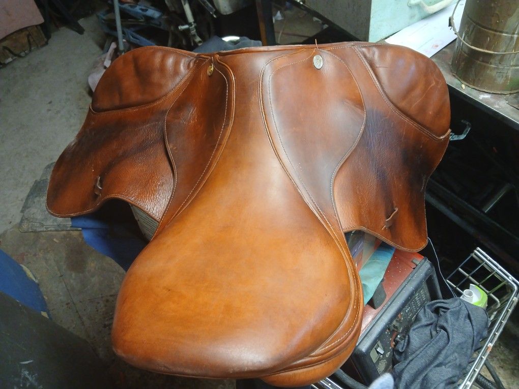 saddle