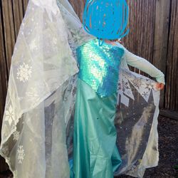 Princess Dress Elsa