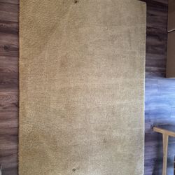 Area Rug 4x6