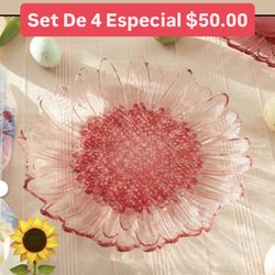 Plato’s Set De 4 Medianos Para Ensaladas Postres Pastel Especial $50.00 Línea Wildflawer Princess House Ventas Finales