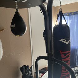 Heavy Bag And Speed Bag And Stand