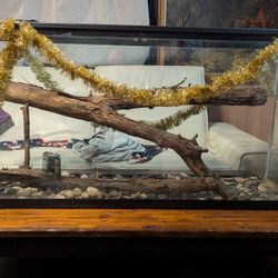 60 Gallon Aquarium/Terrarium