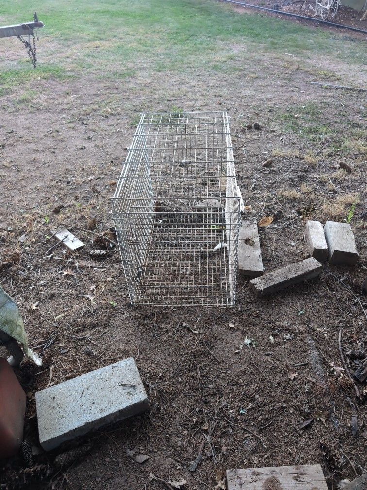Animal Crate