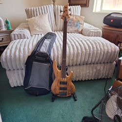 ESP- LTD Fretless Bass Guitar, Natural Satin