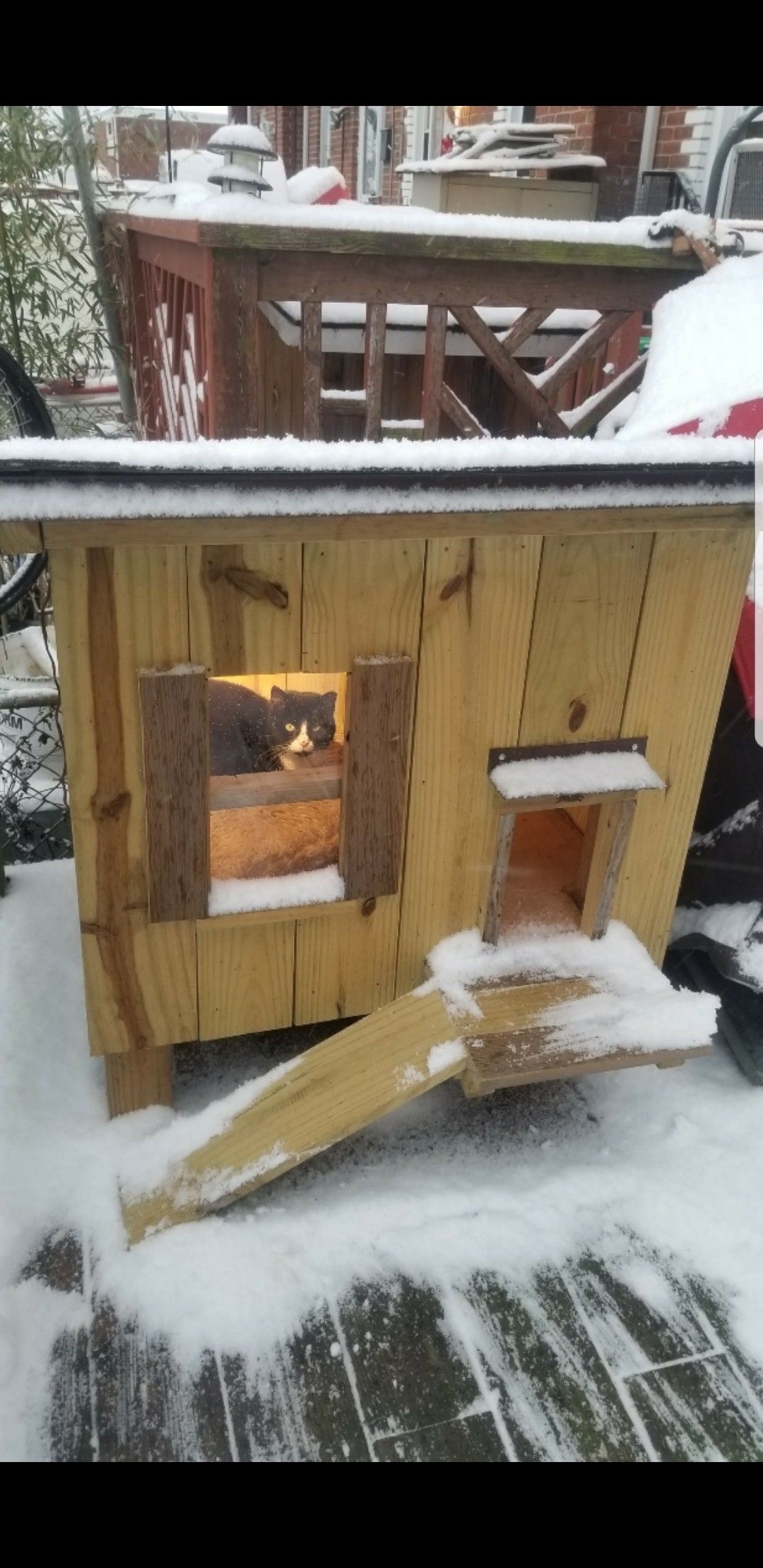 Cat and Dog Houses and Chicken Coops