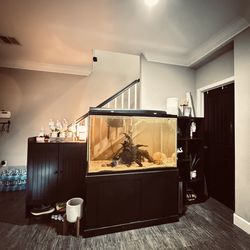 150 Gallon Aquarium