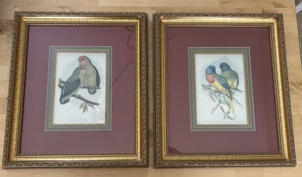 Framed Art Pieces (birds)