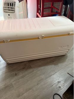 Igloo Cooler