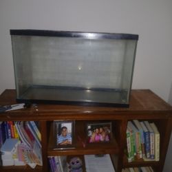Fish Tank 