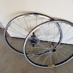 26" Mtn Wheels