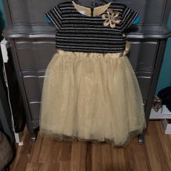 Girls Dress 6x