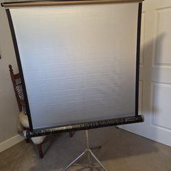 Vintage Projector Screen