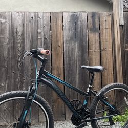 24” used bike