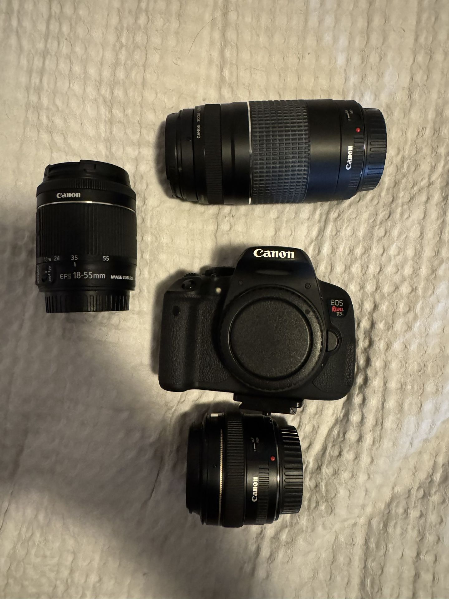 Canon Camera With Lenses