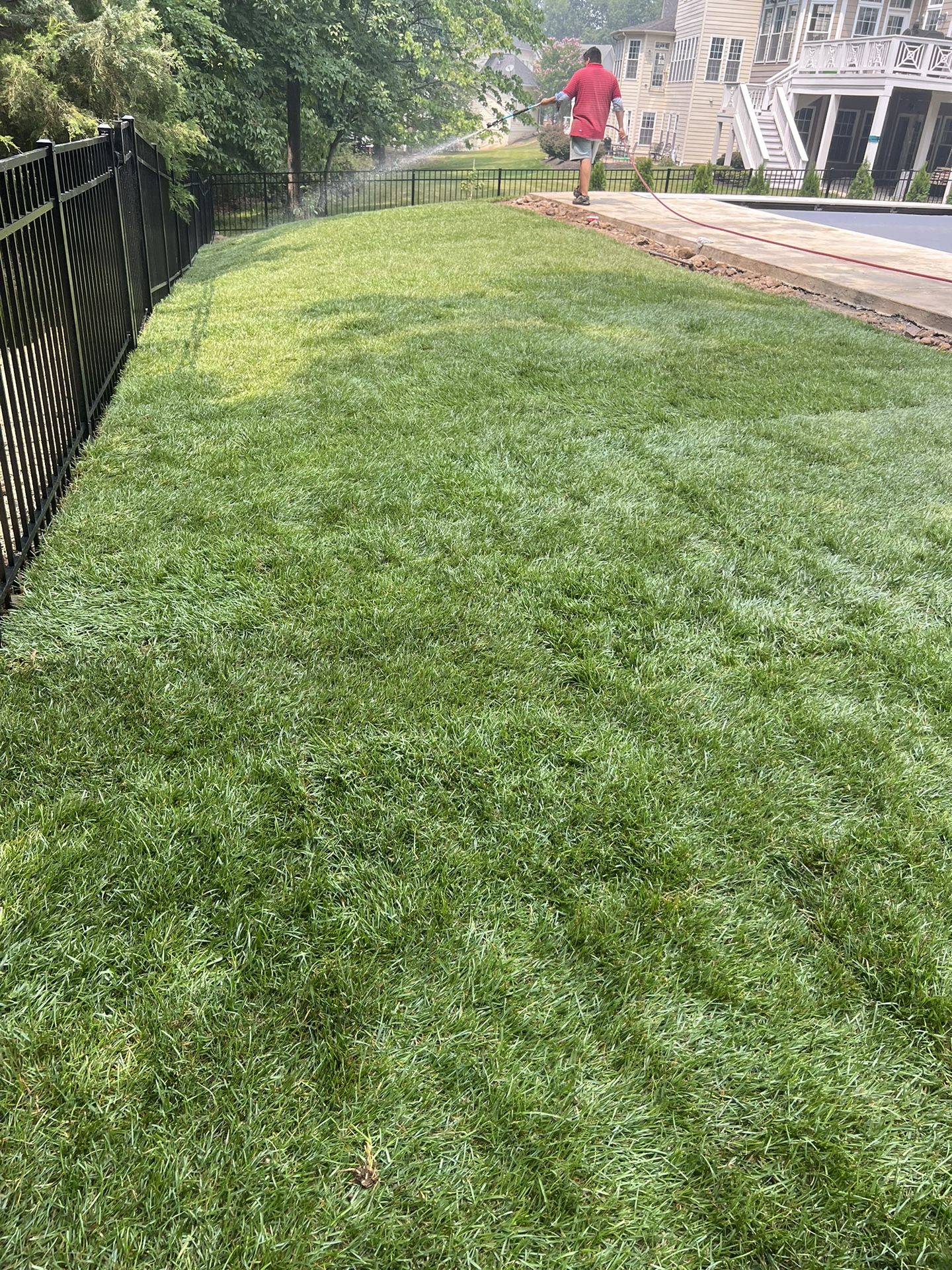 Fresh Sod Roll’s