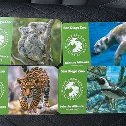 San Diego Zoo Or Safari Park Tickets