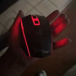 LED GAMING MOUSE