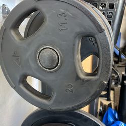 Olympic plates 25lbs Each (set/pair)