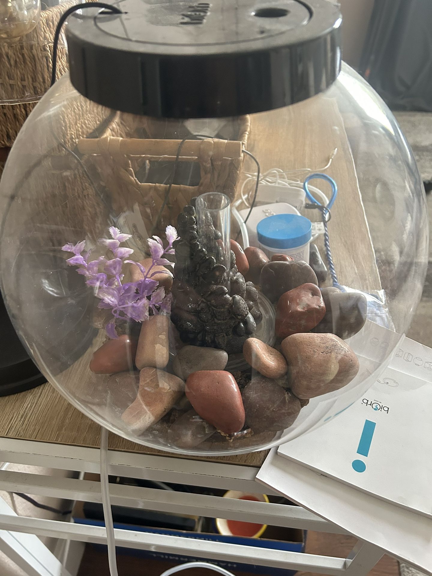 Ball Fish Tank