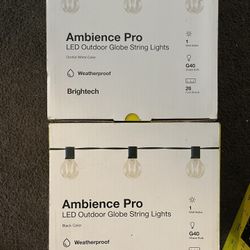 Ambience Pro LED Outdoor Globe String Lights Black Color Weatherproof Brightech -O. 1 Watt Bulbs G40 Shape Bulb 26 Foot Strand 1 Watt