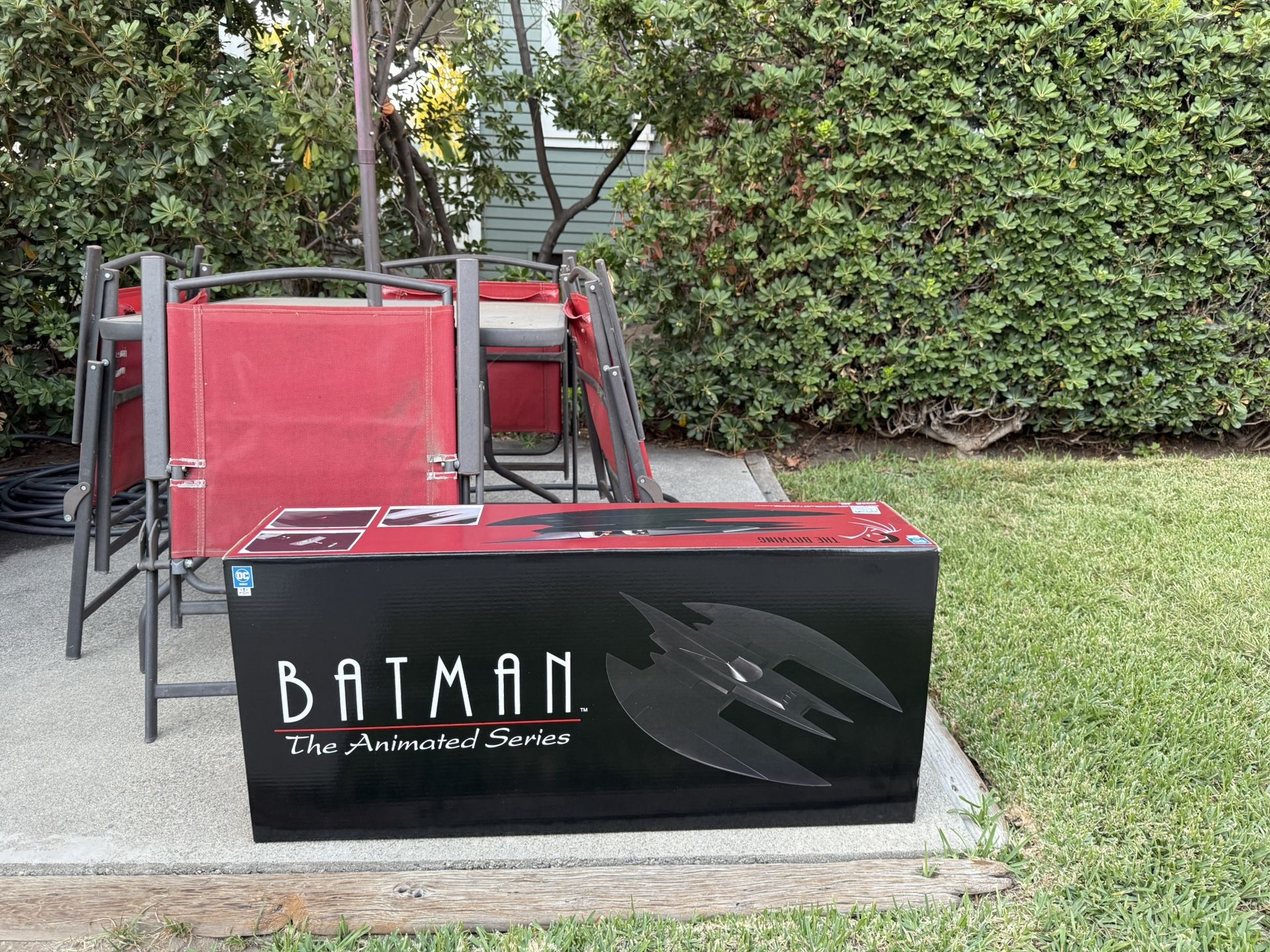 Batman /Batwing