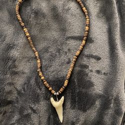 Shark Tooth necklace 10 Inch