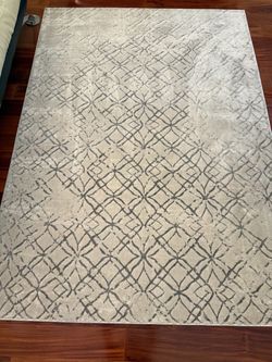 5ft x 7ft Area Rug