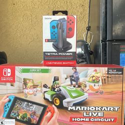 Switch Charger And Luigi Home Circuit 