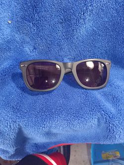 Willam Painter Shades