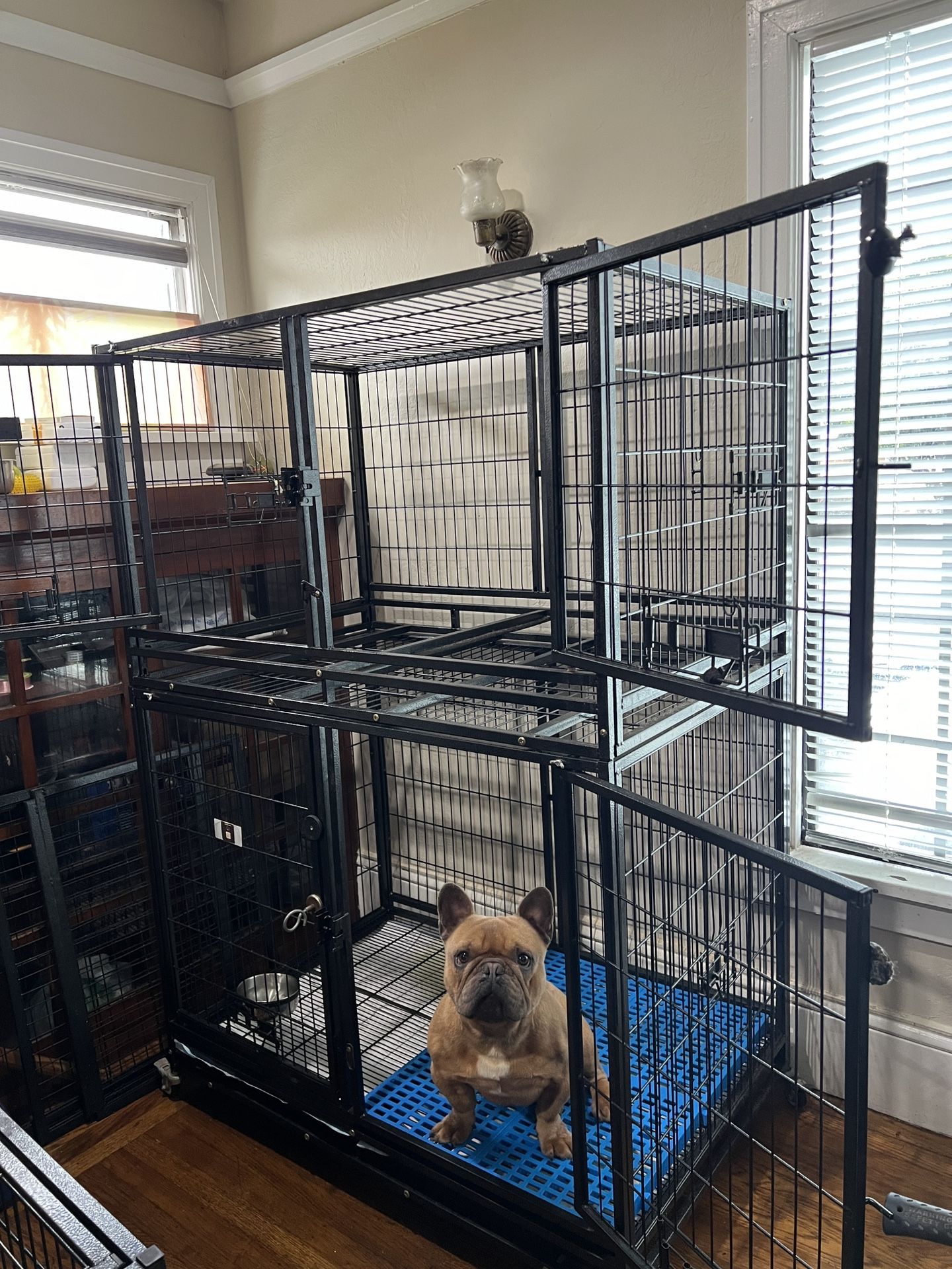 Homey pet stackable Cage 43"