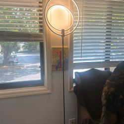 Selling Floor Lamp 