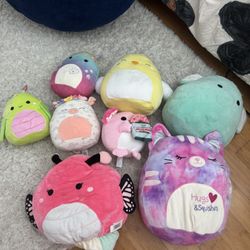 Stuffed Animal Squishmallow Bundle 