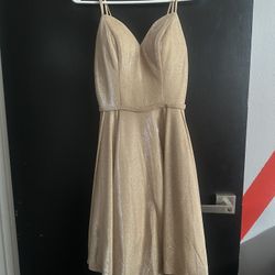 Champagne Cocktail Dress